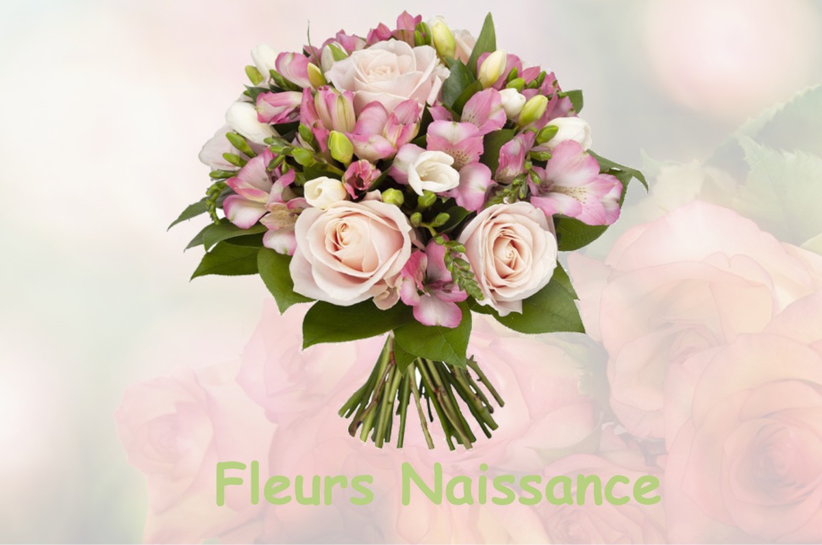 fleurs naissance LA-FORTERESSE