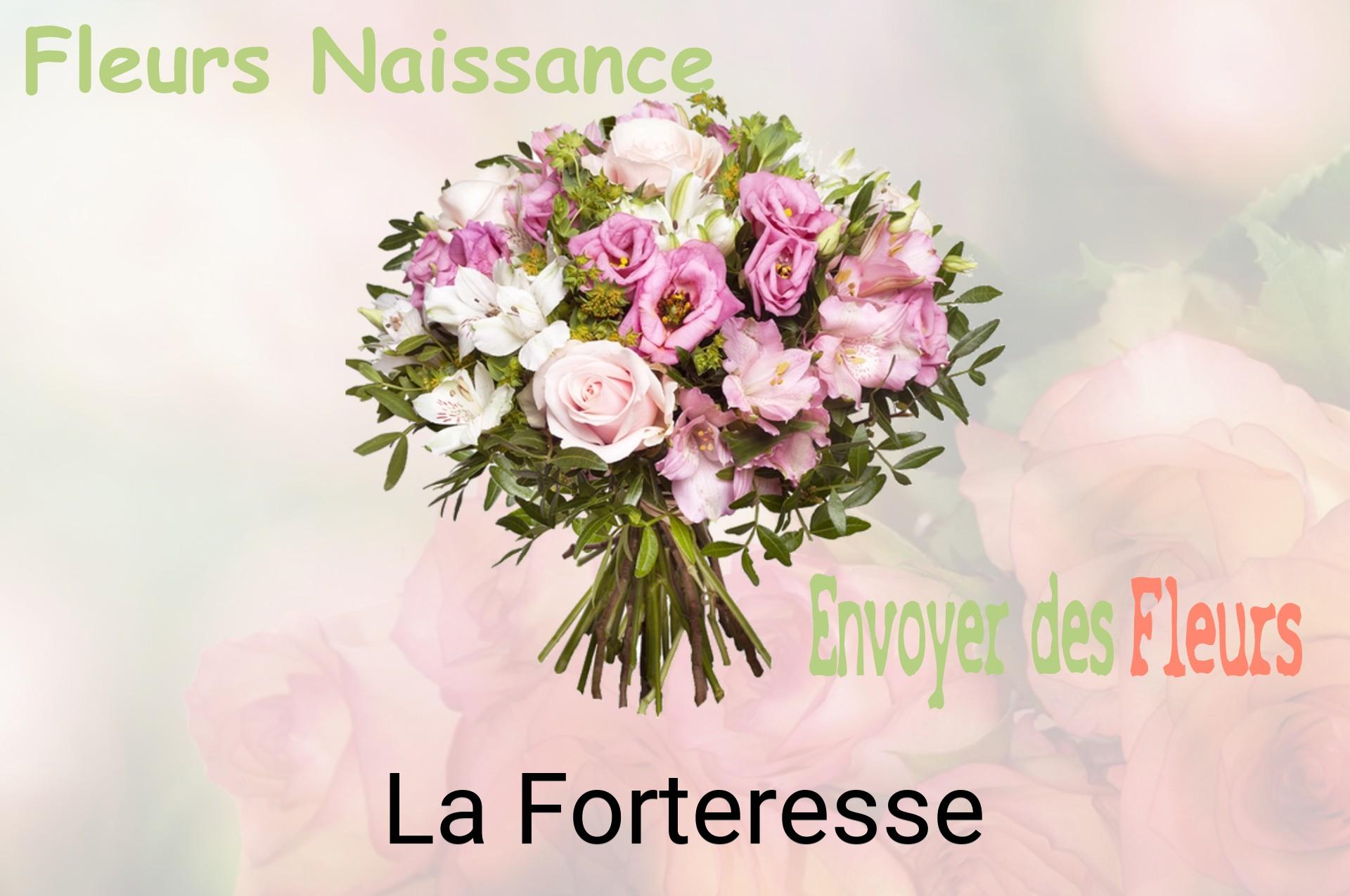 Bouquet de fleurs de naissance livré à La Forteresse