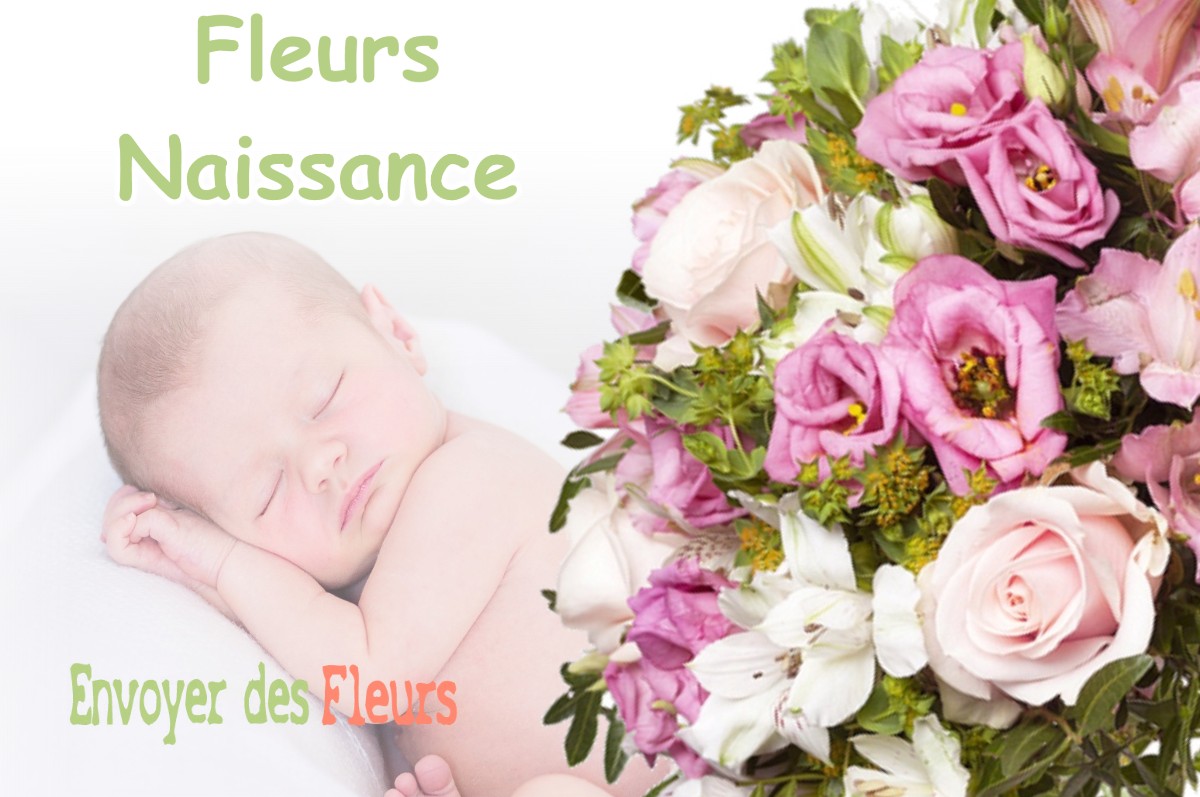 lIVRAISON FLEURS NAISSANCE à LA-FORTERESSE